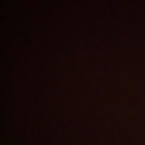 Meet your Posher, Daisy